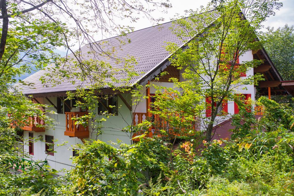 Winterfell Hakuba Villa Eksteriør billede